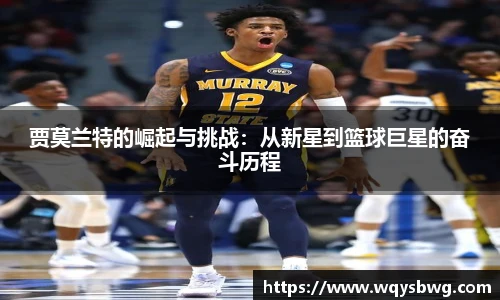 博鱼boyu官方平台
